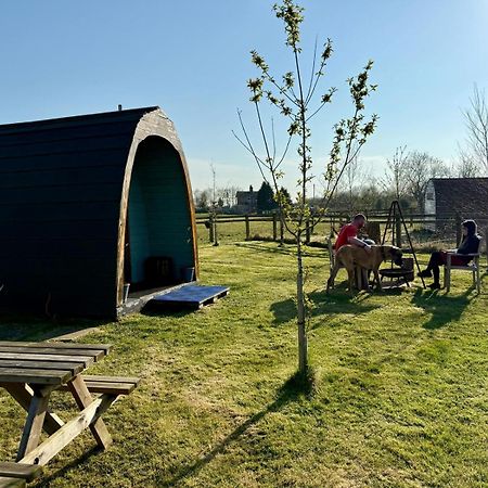 Skipbridge Farm Glamping ยอร์ค ภายนอก รูปภาพ