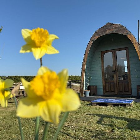 Skipbridge Farm Glamping ยอร์ค ภายนอก รูปภาพ