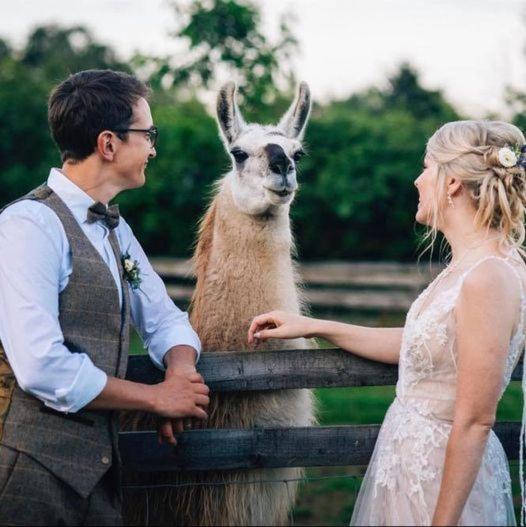 Skipbridge Farm Glamping ยอร์ค ภายนอก รูปภาพ
