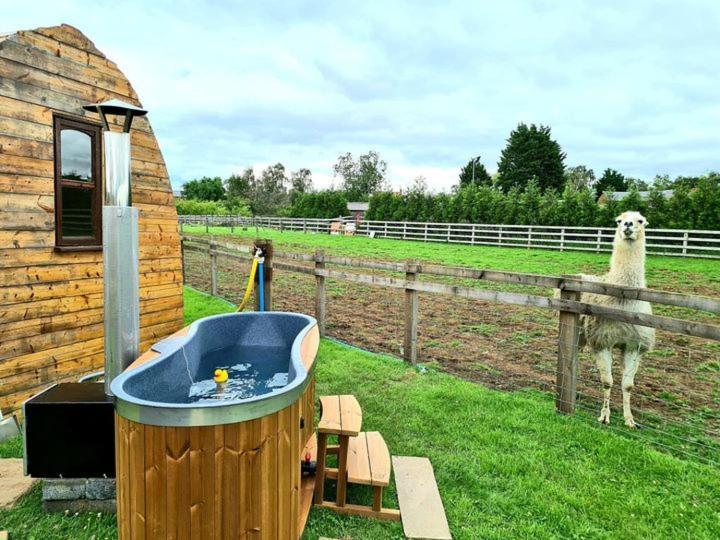 Skipbridge Farm Glamping ยอร์ค ภายนอก รูปภาพ