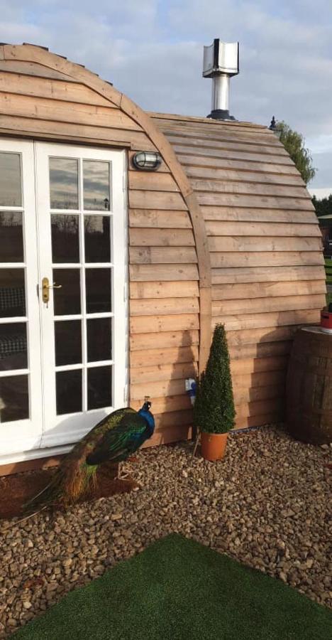 Skipbridge Farm Glamping ยอร์ค ภายนอก รูปภาพ