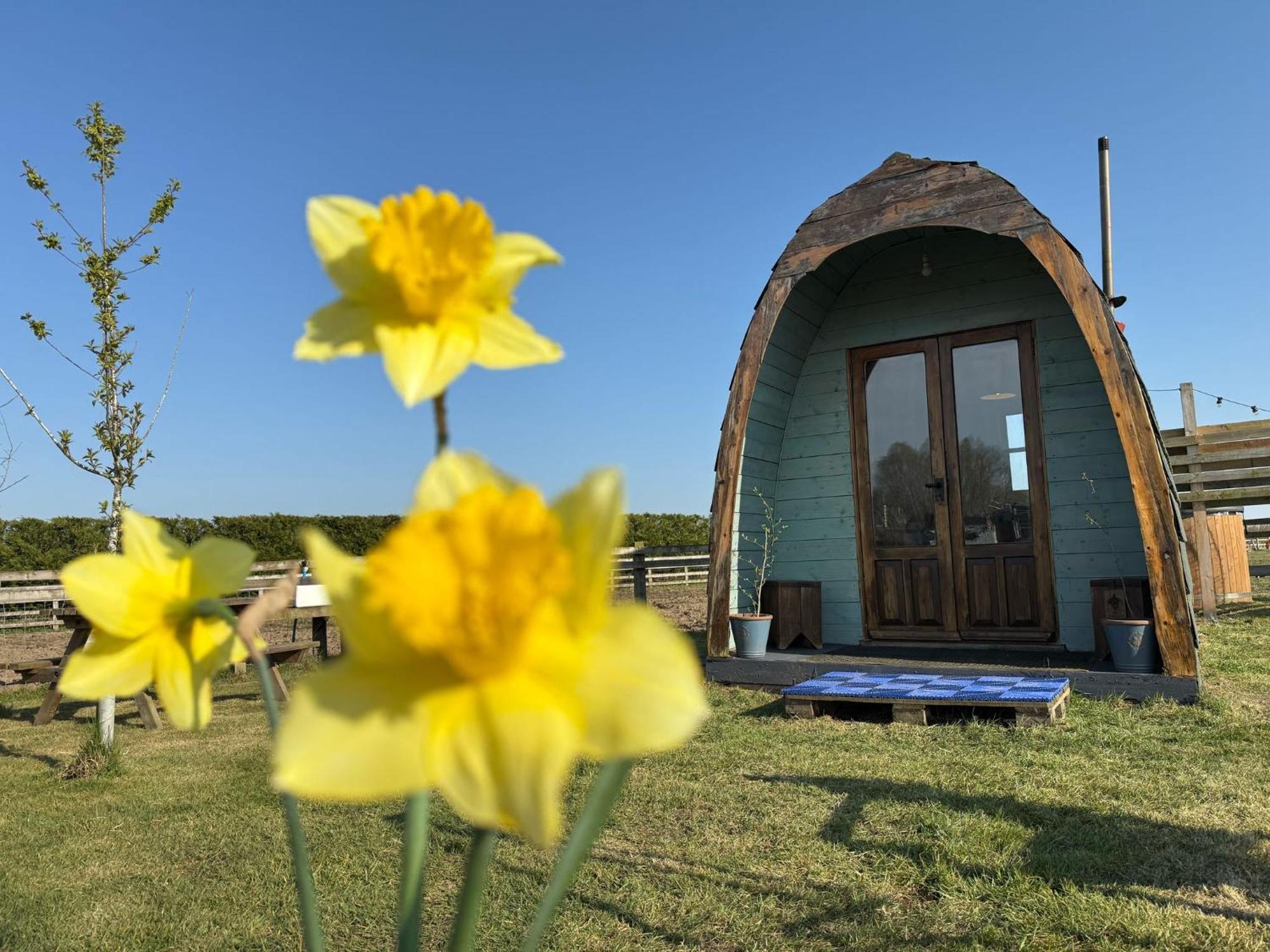 Skipbridge Farm Glamping ยอร์ค ภายนอก รูปภาพ